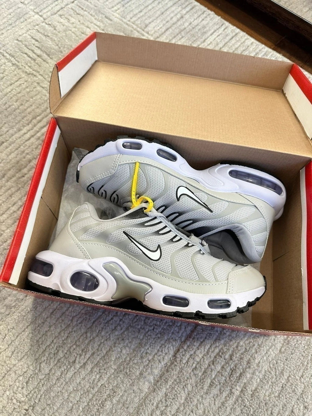 AIR MAX TN - CINZA